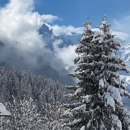 Aikoa Domek alpejski Chamonix
