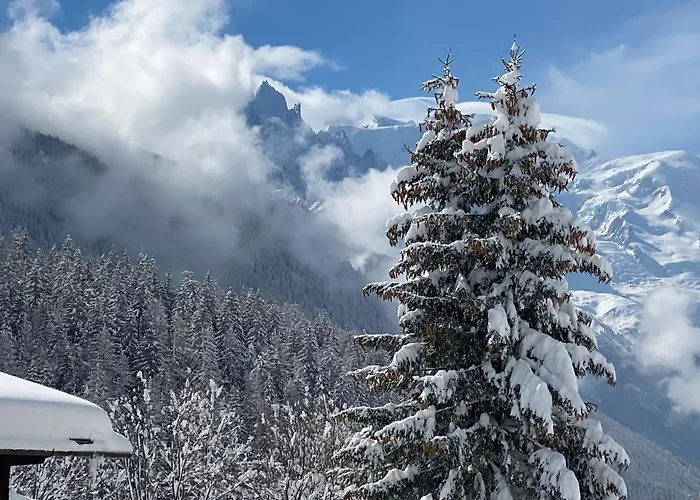Aikoa Domek alpejski Chamonix